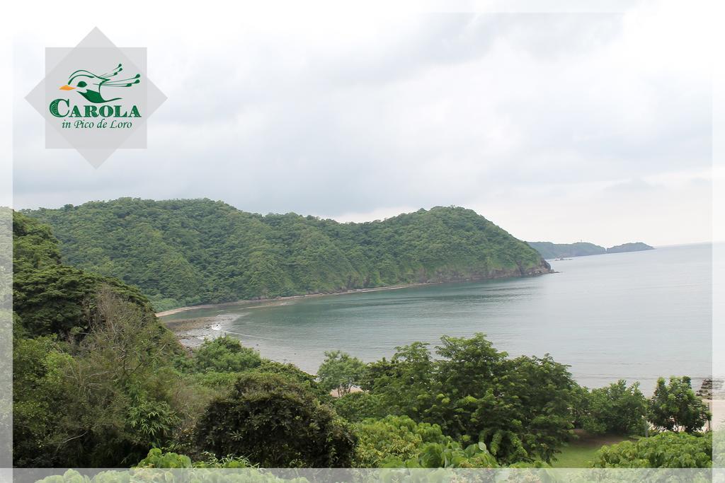 Carola In Pico De Loro Leilighet Nasugbu Eksteriør bilde